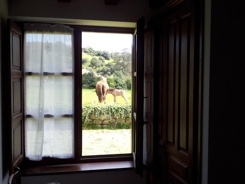 Apartamentos La Roblera Orena Kamer foto