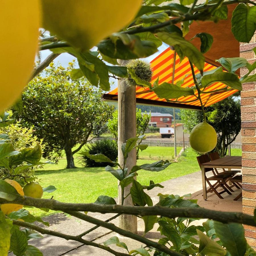 Apartamentos La Roblera Orena Buitenkant foto
